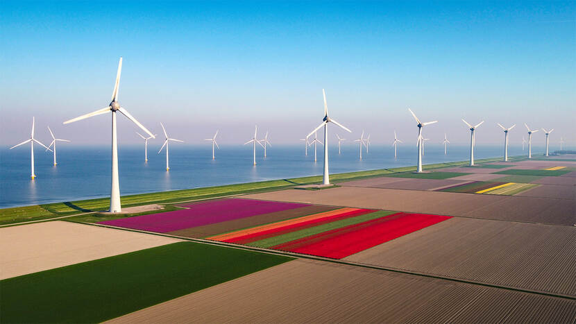 Een windmolenpark aan Zee in Flevoland grens aan vlakke velden met onder andere sierteelt.